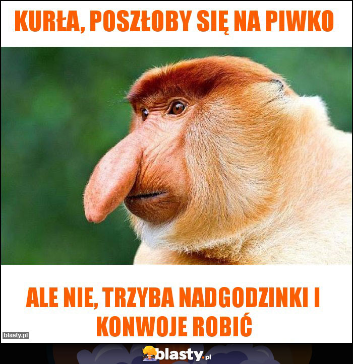 Kurła, poszłoby się na piwko