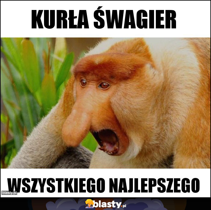 Kurła Śwagier