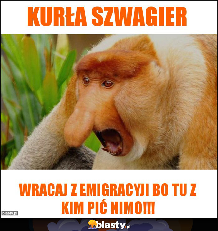 Kurła szwagier