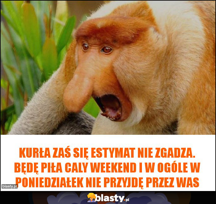 KURŁA ZAŚ SIĘ ESTYMAT NIE ZGADZA. BĘDĘ PIŁA CALY WEEKEND I W OGÓLE W PONIEDZIAŁEK NIE PRZYJDĘ PRZEZ WAS