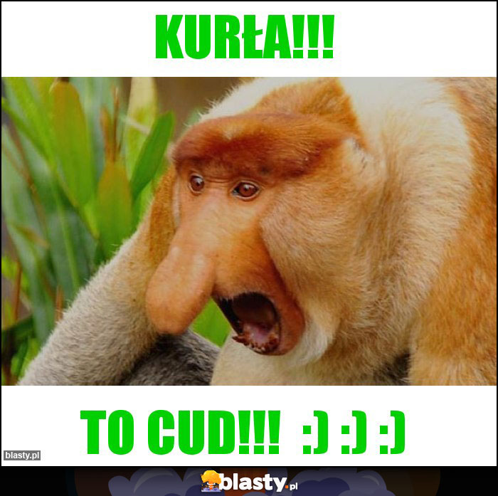 Kurła!!!