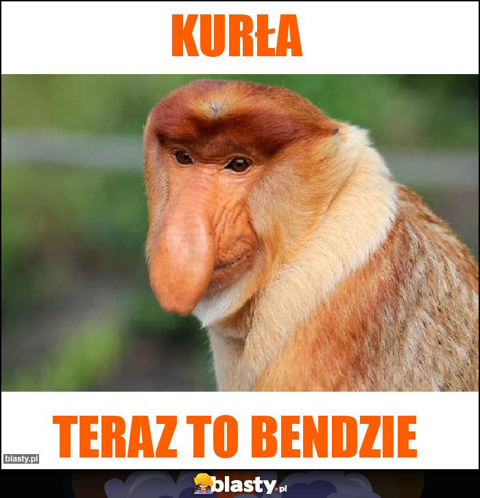 Kurła