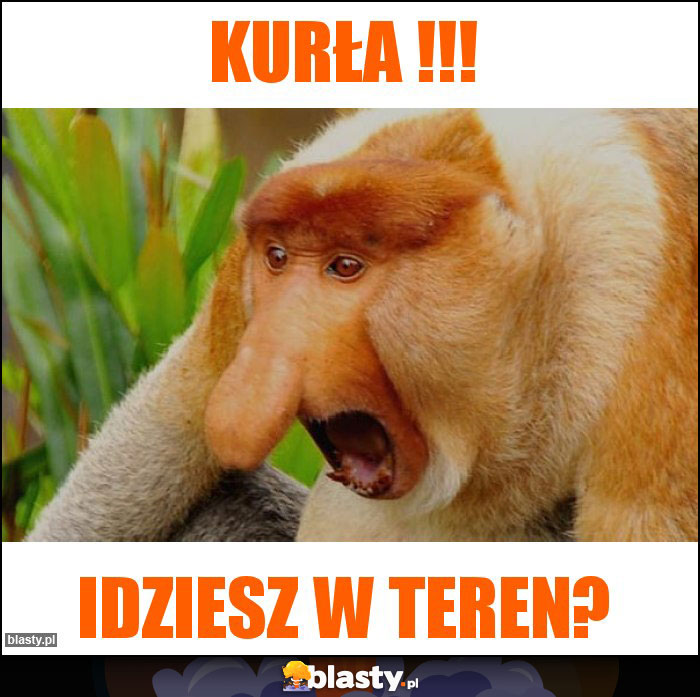 KURŁA !!!