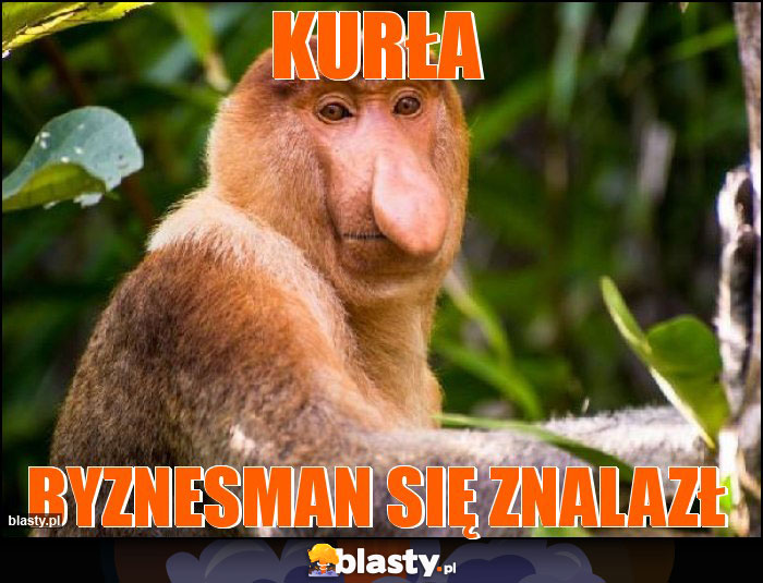 Kurła