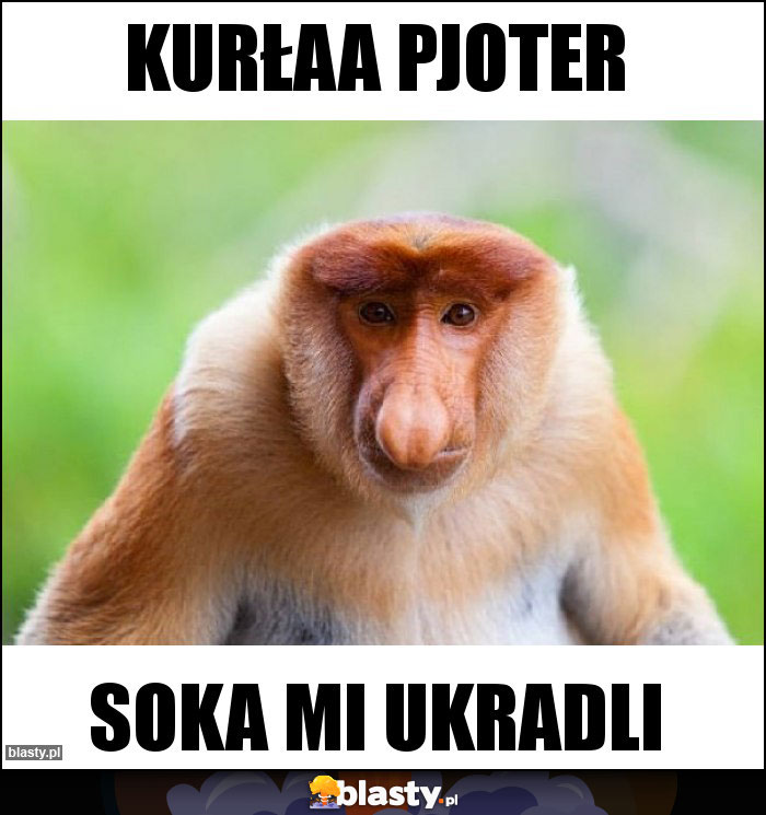 KURŁAA PJOTER