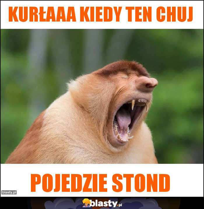 KURŁAAA KIEDY ten CHUJ