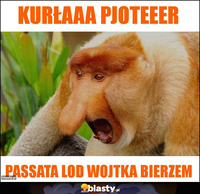 Kurłaaa Pjoteeer