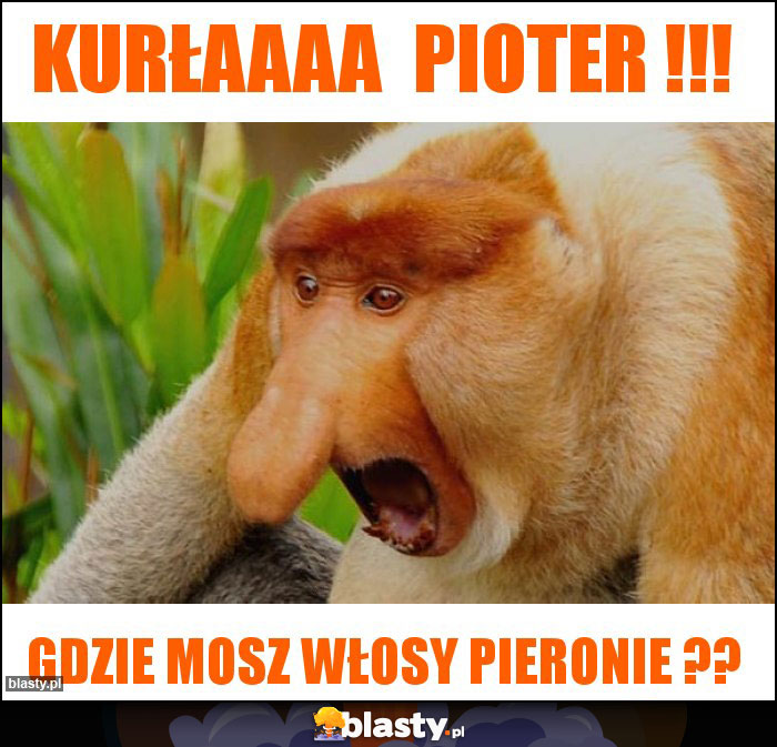 KURŁAAAA  PIOTER !!!