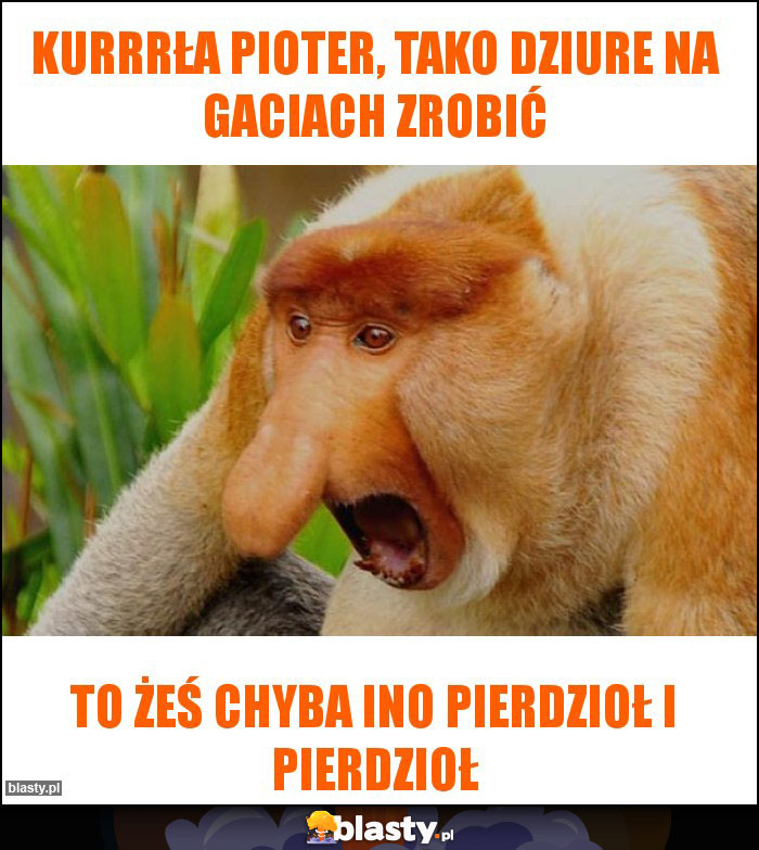 kurrrła pioter, tako dziure na gaciach zrobić