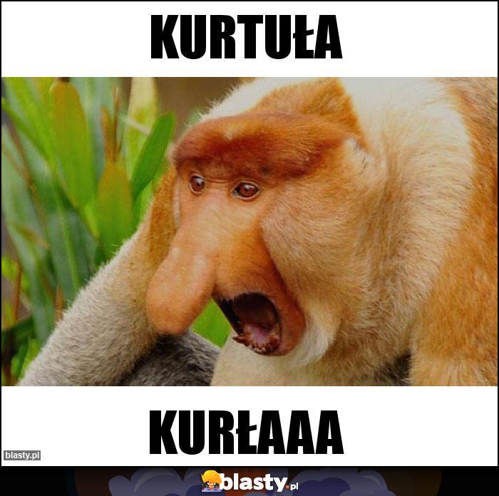 Kurtuła