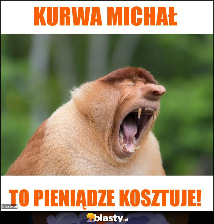 kurwa Michał