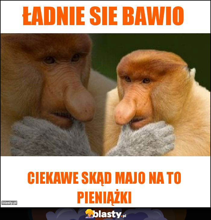 Ładnie sie bawio