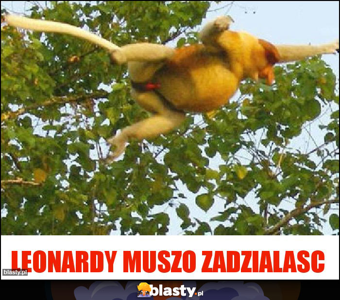 LEONARDY MUSZO ZADZIALASC