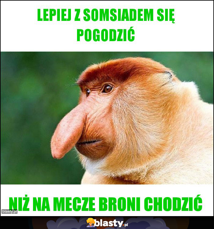 Lepiej z somsiadem się pogodzić