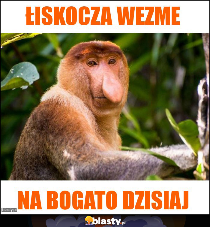 Łiskocza wezme