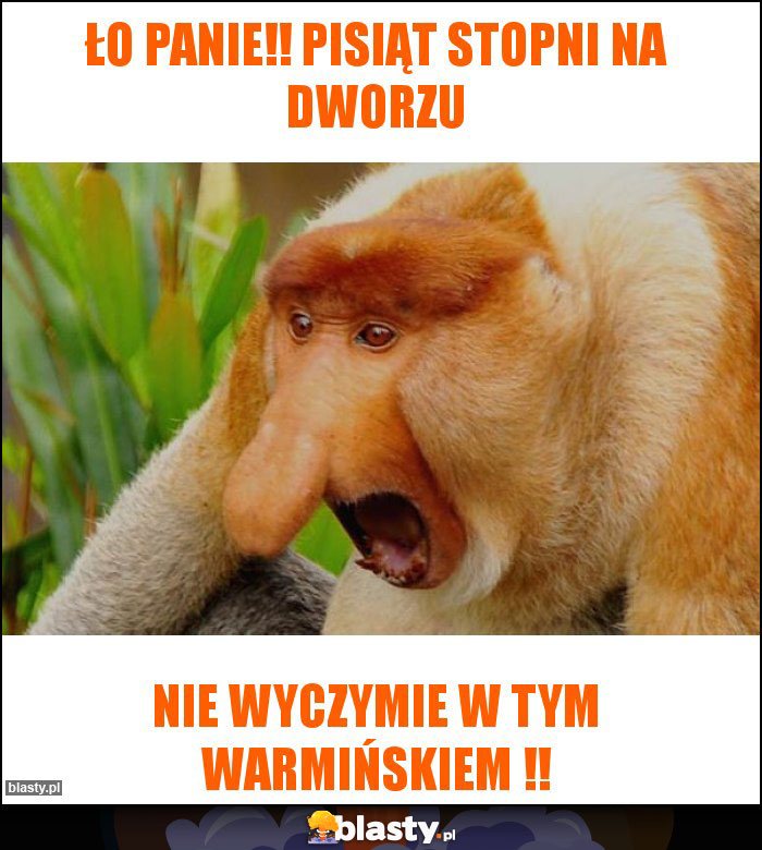 ŁO PANIE!! PISIĄT STOPNI NA DWORZU