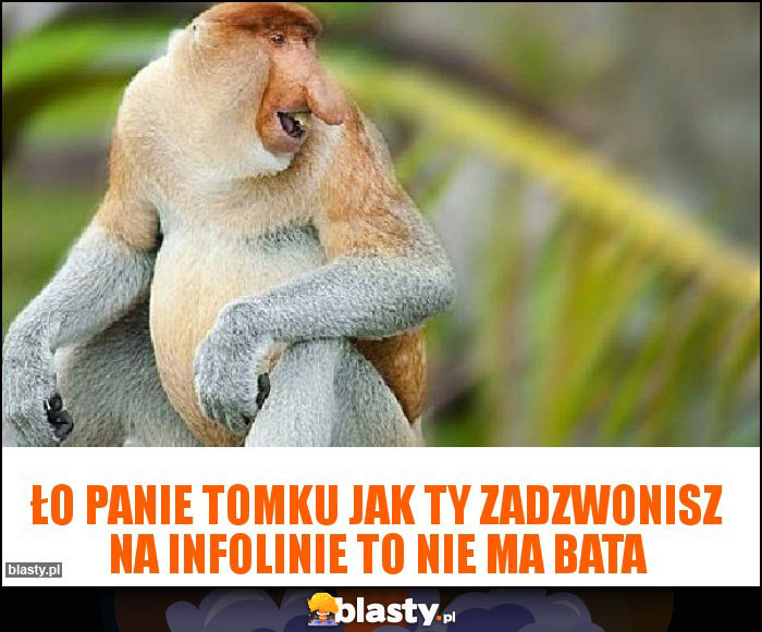 Ło Panie Tomku jak ty zadzwonisz na infolinie to nie ma bata