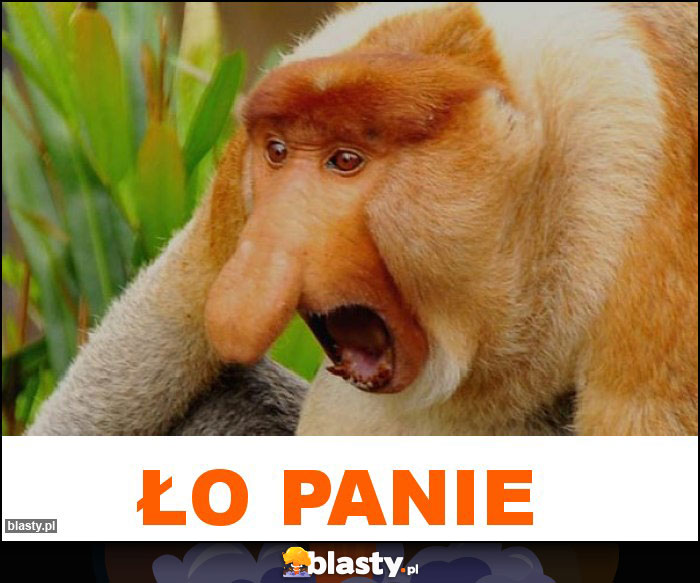 ło panie