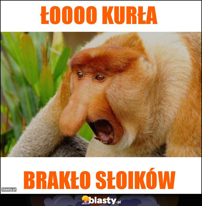 Łoooo kurła