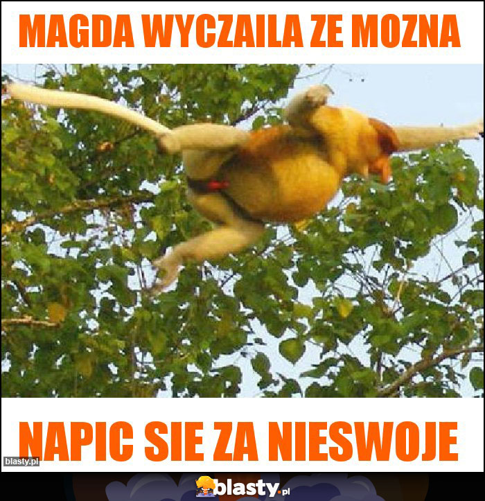 magda wyczaila ze mozna