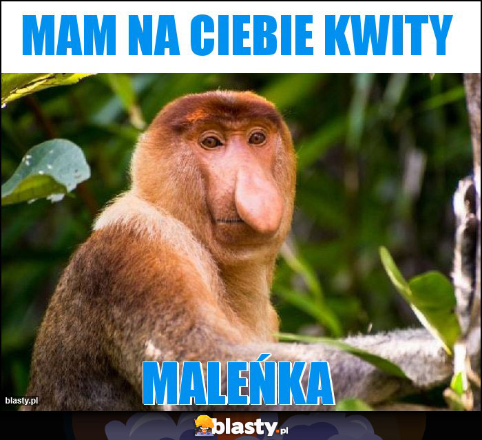 Mam na ciebie kwity