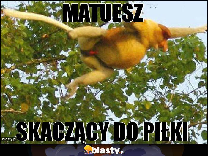 matuesz