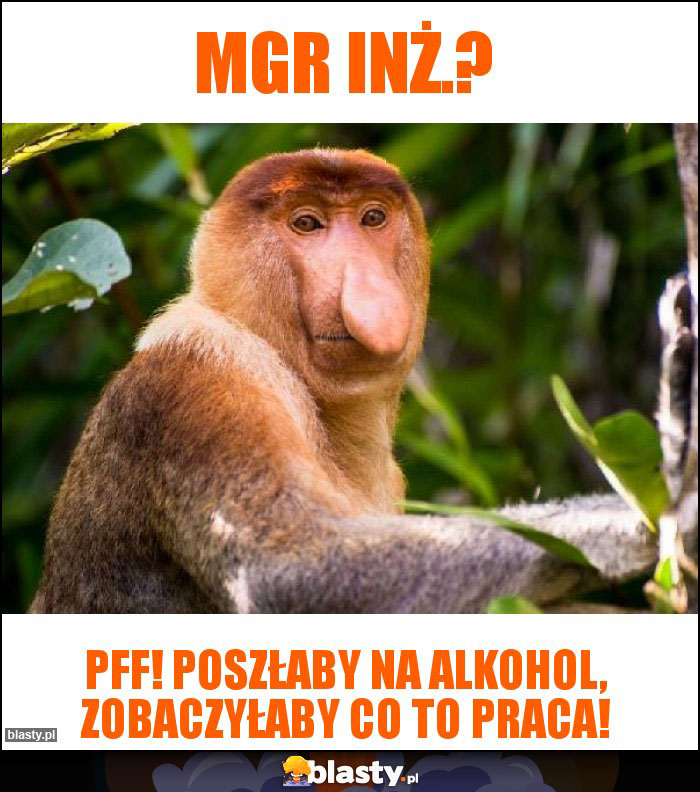 MGR INŻ.?