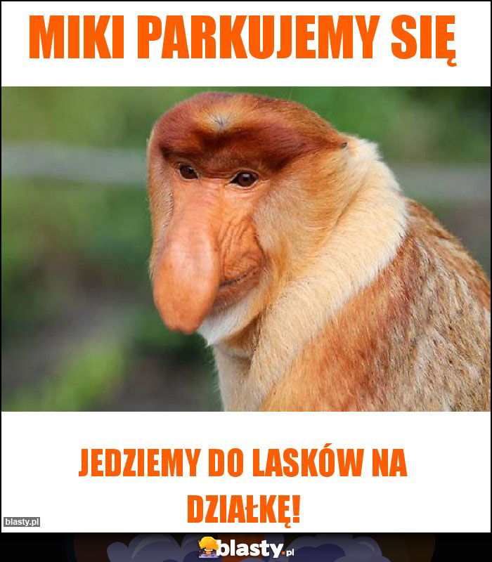 Miki parkujemy się