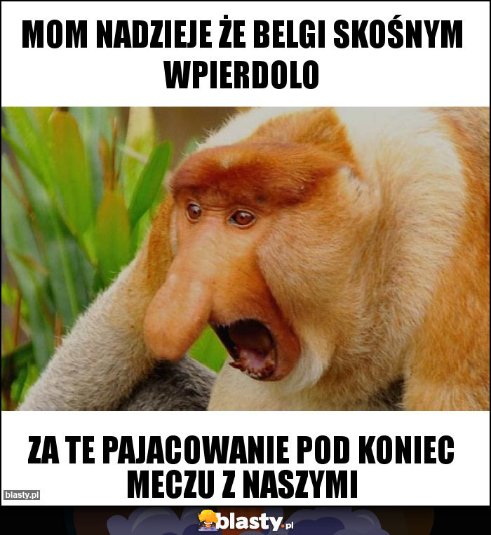 Mom nadzieje że belgi skośnym wpierdolo