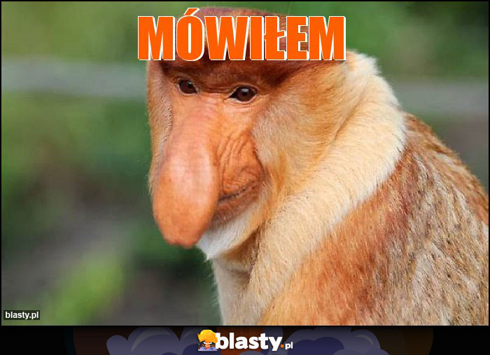 mówiłem