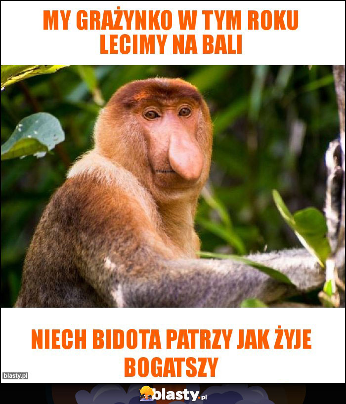 My Grażynko w tym roku lecimy na bali