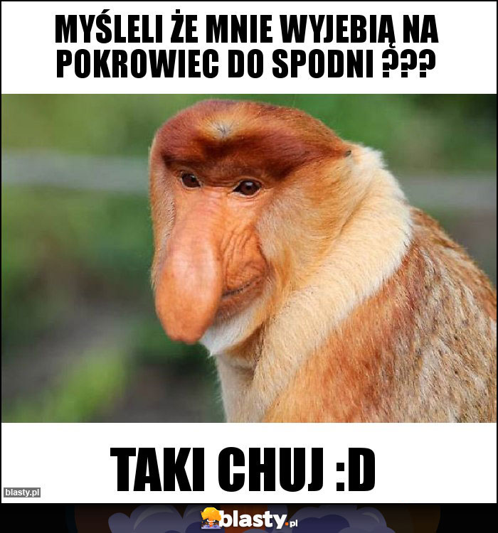 myśleli że mnie wyjebią na pokrowiec do spodni ???