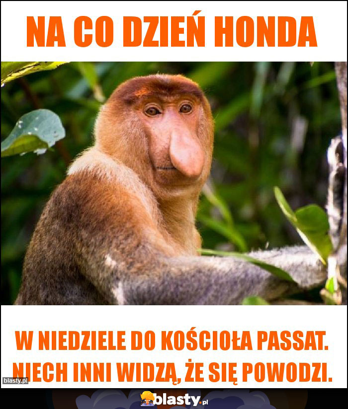 Na co dzień Honda