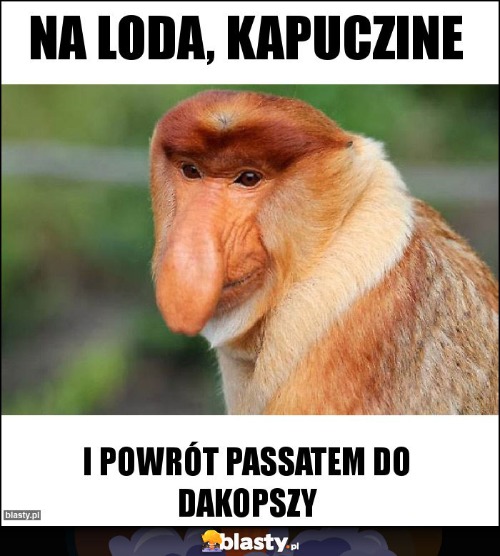 Na loda, kapuczine