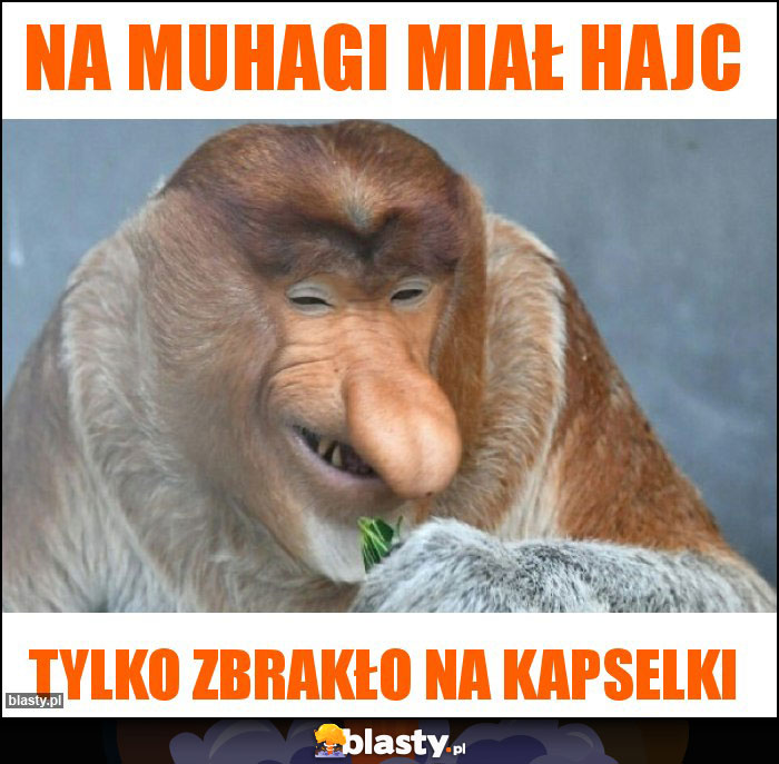 Na muhagi miał hajc