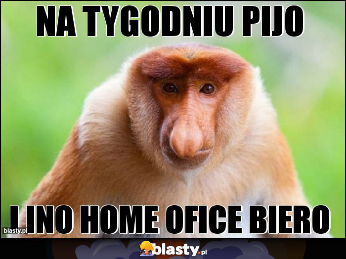 na tygodniu pijo