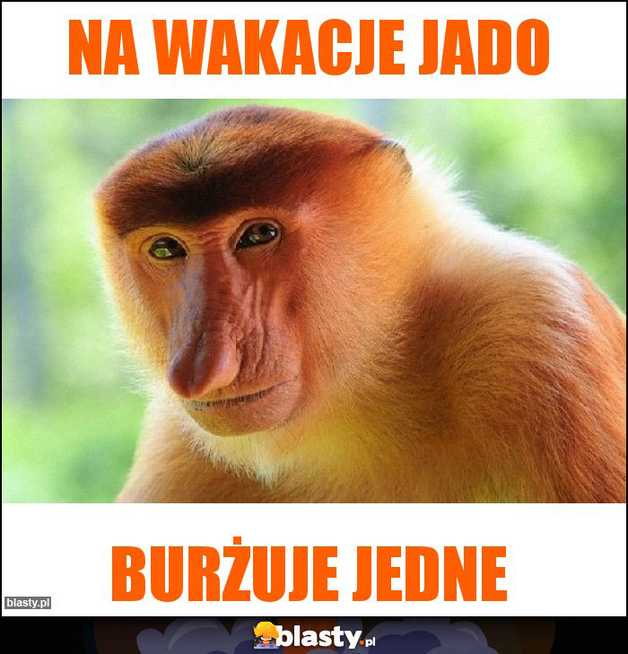 Na wakacje jado