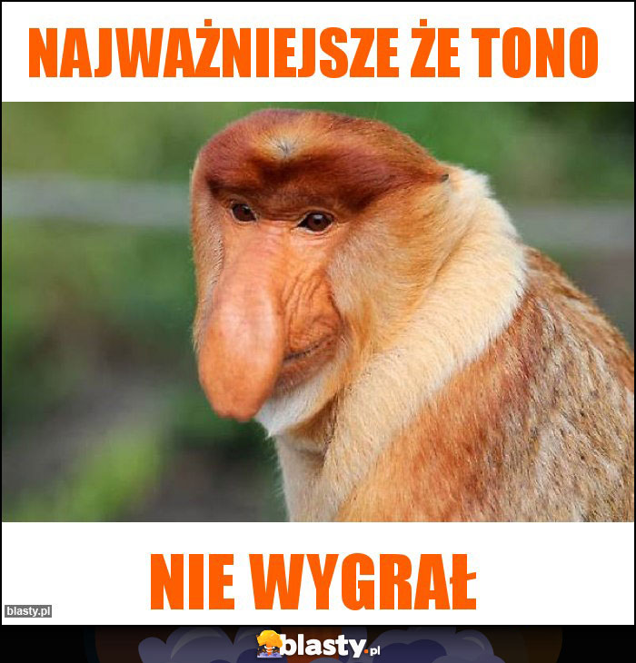 Najważniejsze że Tono