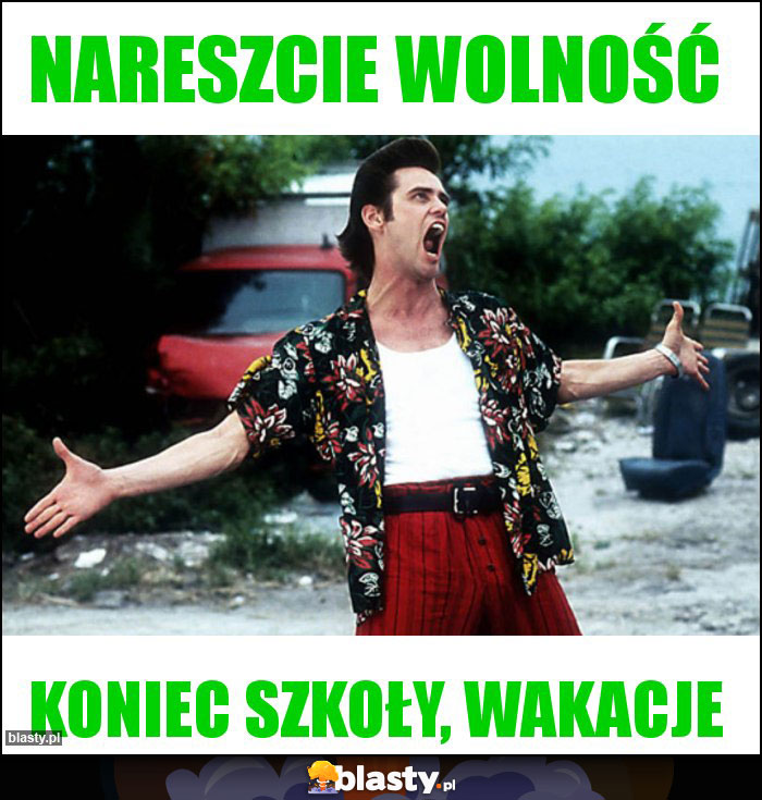 Nareszcie wolność