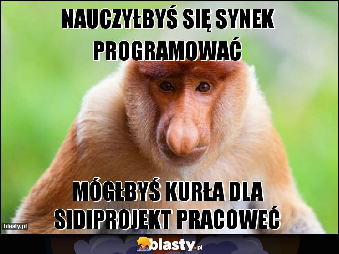 nauczyłbyś się synek programować