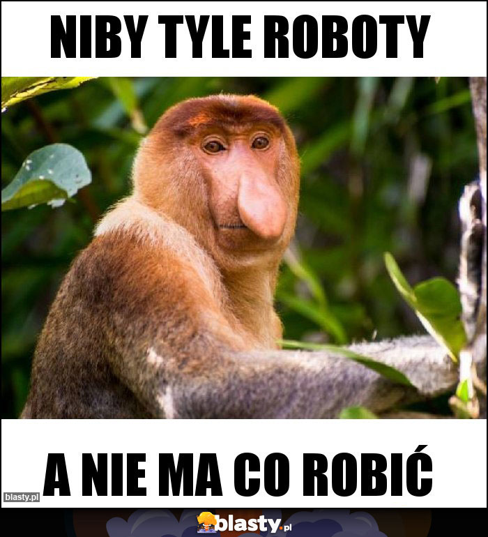 NIBY TYLE ROBOTY