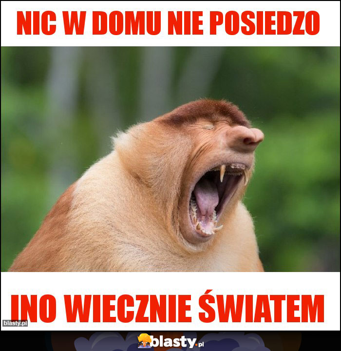 Nic w domu nie posiedzo