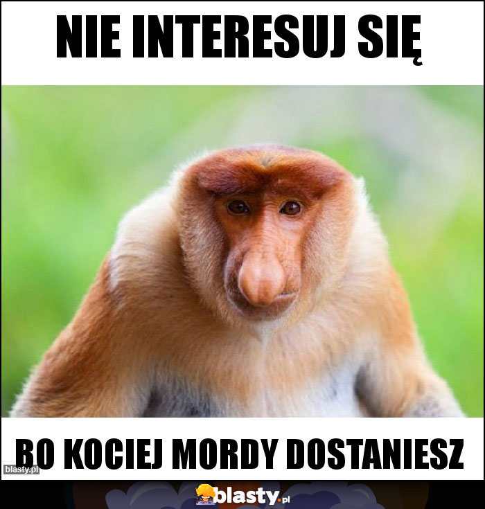 NIE INTERESUJ SIĘ