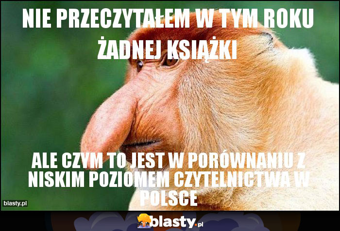 Nie przeczytałem w tym roku żadnej książki