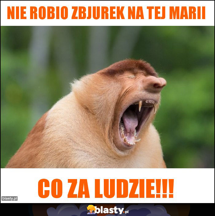 Nie robio zbjurek na tej marii