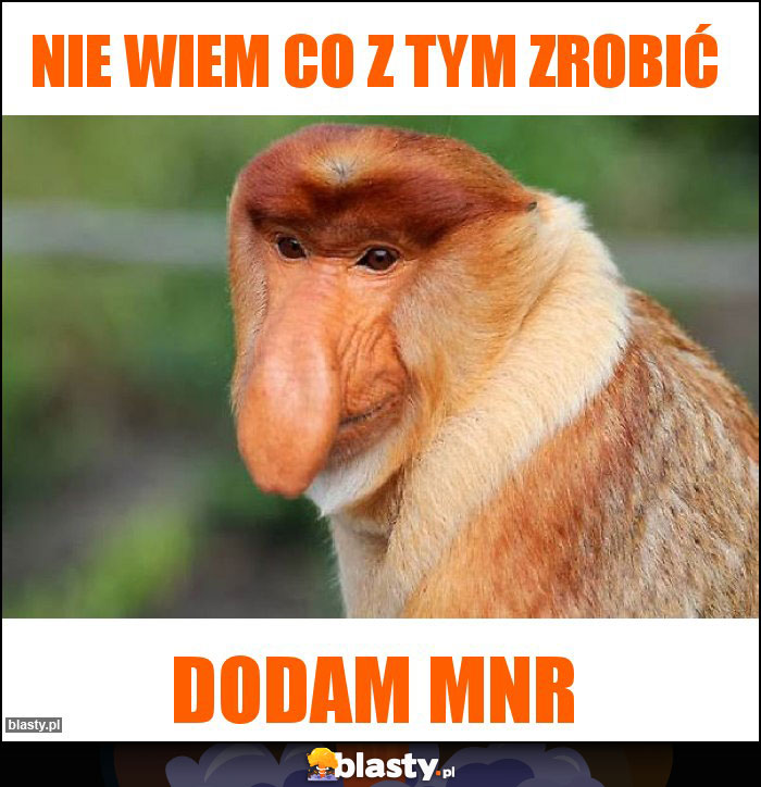 Nie wiem co z tym zrobić