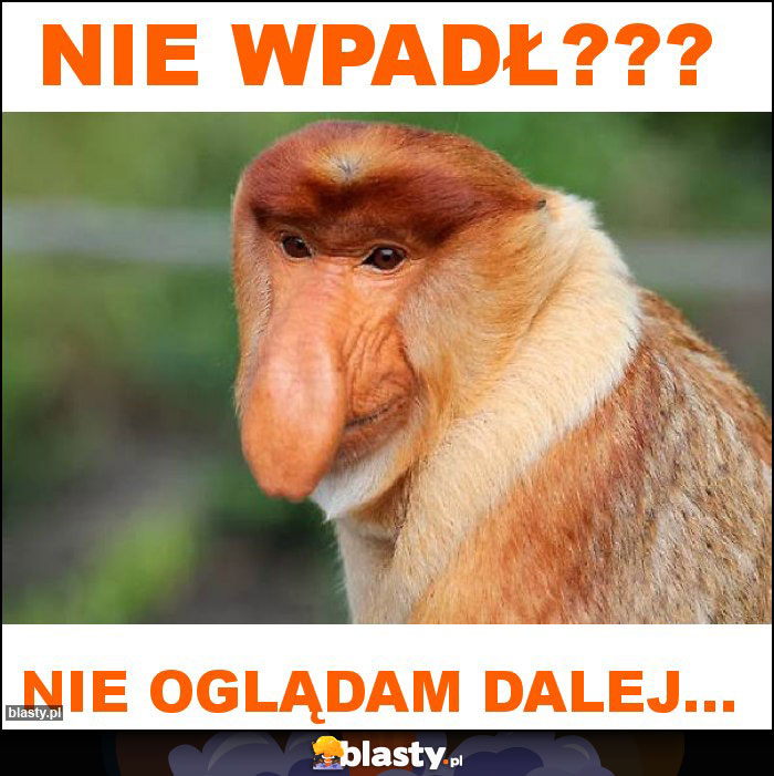 nie wpadł???