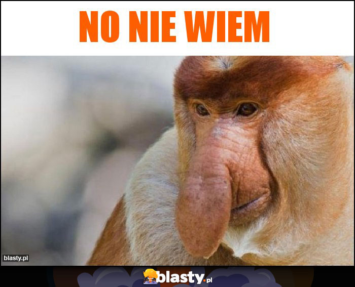 NO NIE WIEM