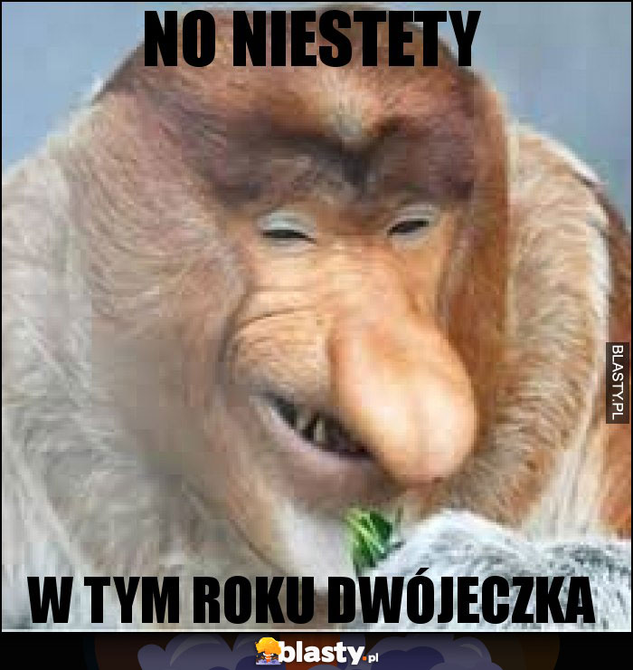 No niestety