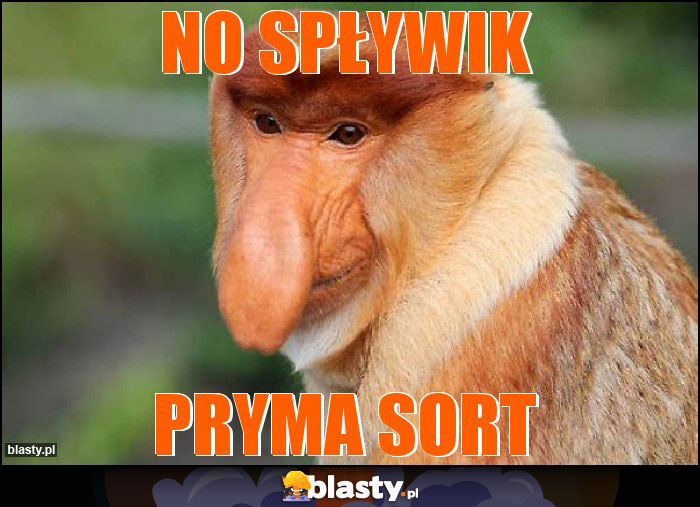 No spływik